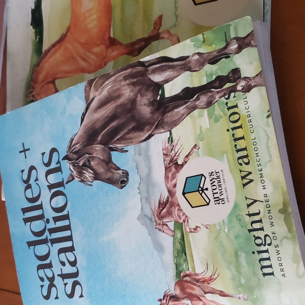 Arrows of wonder homeschool books